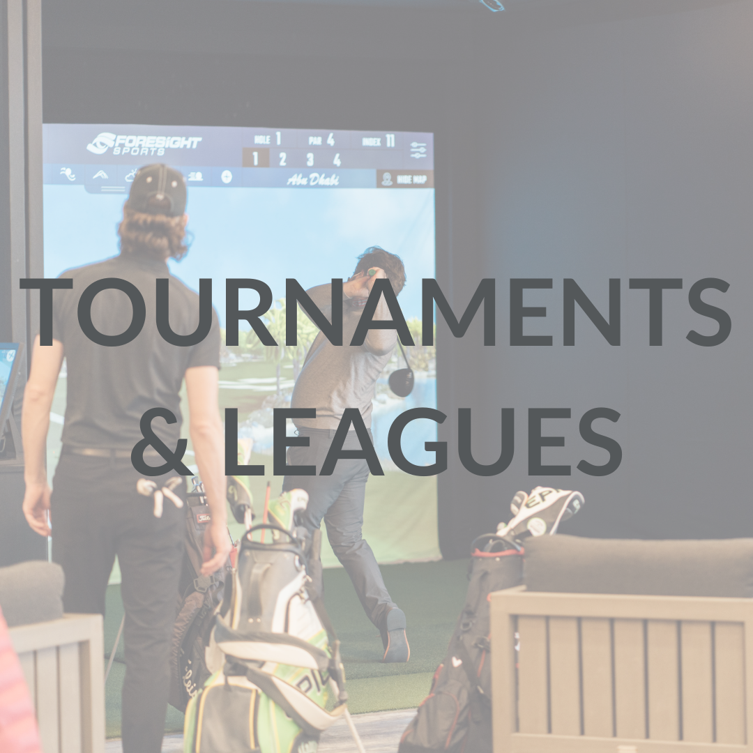 SIMULATOR LEAGUES & TOURNAMENTS